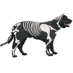 Why Dogs Hate Halloween 18