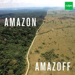 Cuipo: Save the rainforest